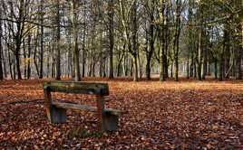 Encore un banc vide...