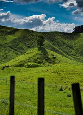 New Zealand outback