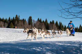 Transport de blessé
