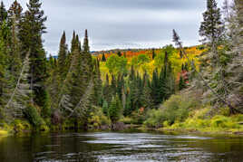 au milieu coule une rivière