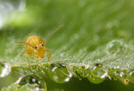 Première sortie de la journée!
