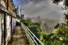 Sentier du Merle Blanc