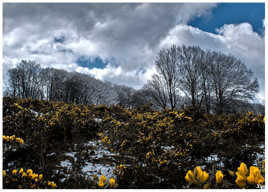 Couleurs primaires et échelle de gris.