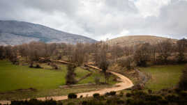 Col de Vence