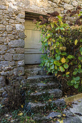 Vieil escalier