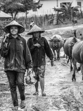 Rayon de soleil après la pluie