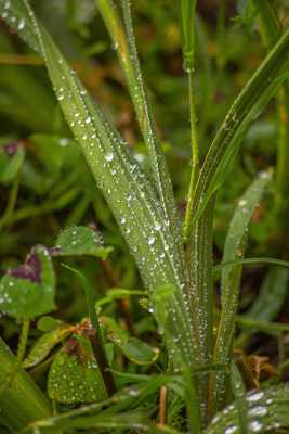 Gouttes d eau