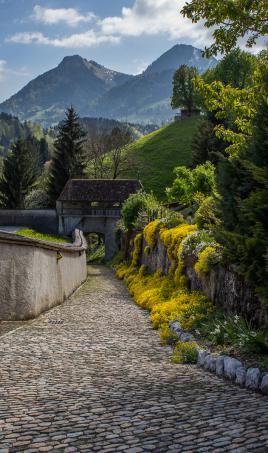 Chemin de pélerinage