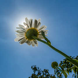 S'élever vers la lumière 2
