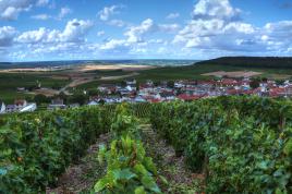 vignoble de Champagne