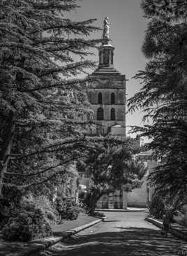 Le Palais des Papes