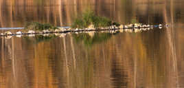 Couleurs d'automne sur la Loire