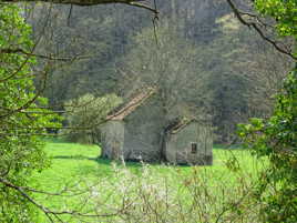 Petite maison dans la prairie