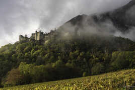 Vignes et chateau