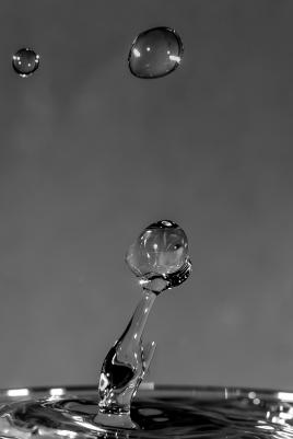 Mais où est passé le jongleur