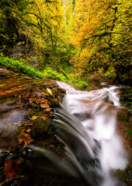 Au fil de l’eau, cet automne.