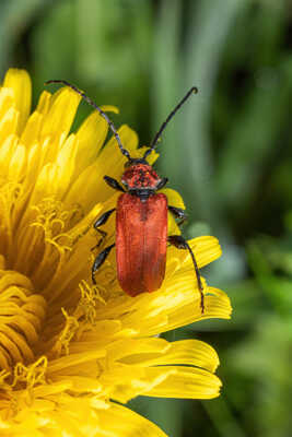 Couleurs printanières!