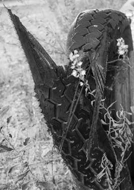 fin de loyaux services