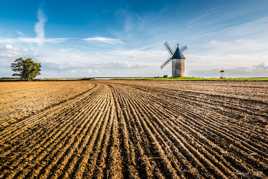 Après la moisson...la terre se repose