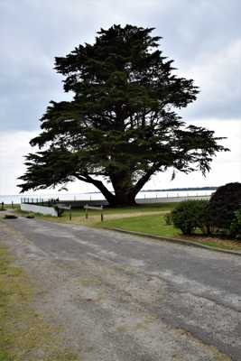 seul face à l'océan