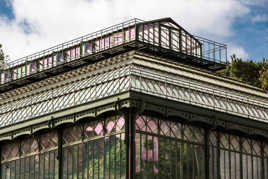 Serre au jardin des plante Paris