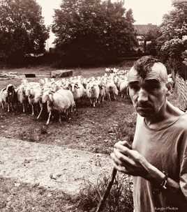 Pako, le Berger Punk Anarchiste