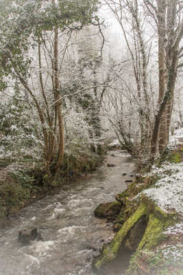 L'Auzette auréolée de neige