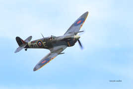spitfire