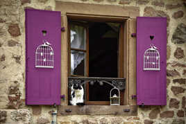 T'enflamme pas le chat, la cage et l'oiseau...c'est du bidon