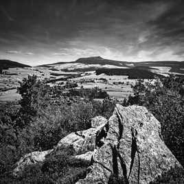 Trapu et impassible...