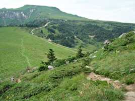 Carré d'Auvergne