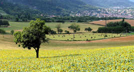 Au coeur de l'Auvergne