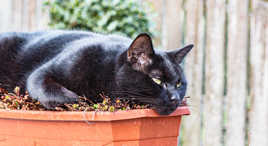 Cool mon nouveau pouf