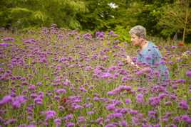 Liberté avant Covid