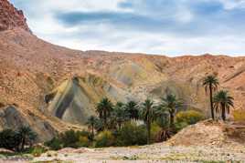 OASIS EL KANTARA