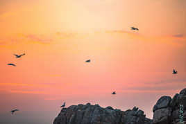 Aller les enfants il faut rentrer !!