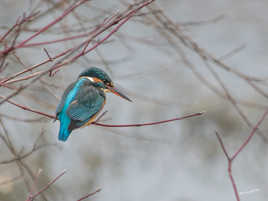 Martine à la pêche!...