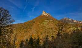 Montagne en automne