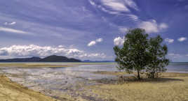 Que la nature est belle ...