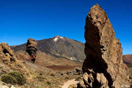 Des entrailles de la terre ......