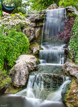 La cité des immortels