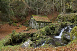 Moulin de Chambeuil (15)
