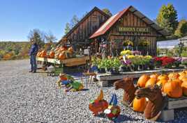 Marché d'Halloween à la campagne