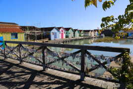 Apprenez à penser en couleurs et vous verrez le monde autrement.