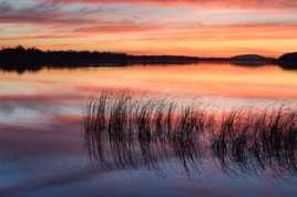 Couché de soleil sur le lac de saint quentin en Yvelines