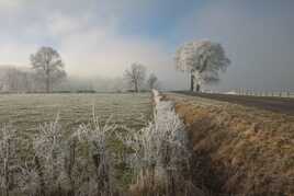 Ambiance hivernale