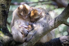 Instant de famille