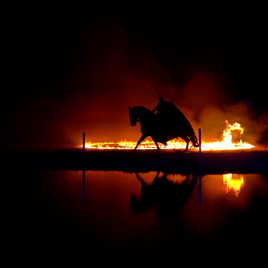 Le cavalier du feu