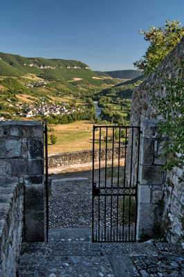 Retour à la vie ...