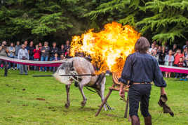 Cascade Equestre - Fête du cheval